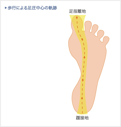 歩行による足圧中心の軌跡